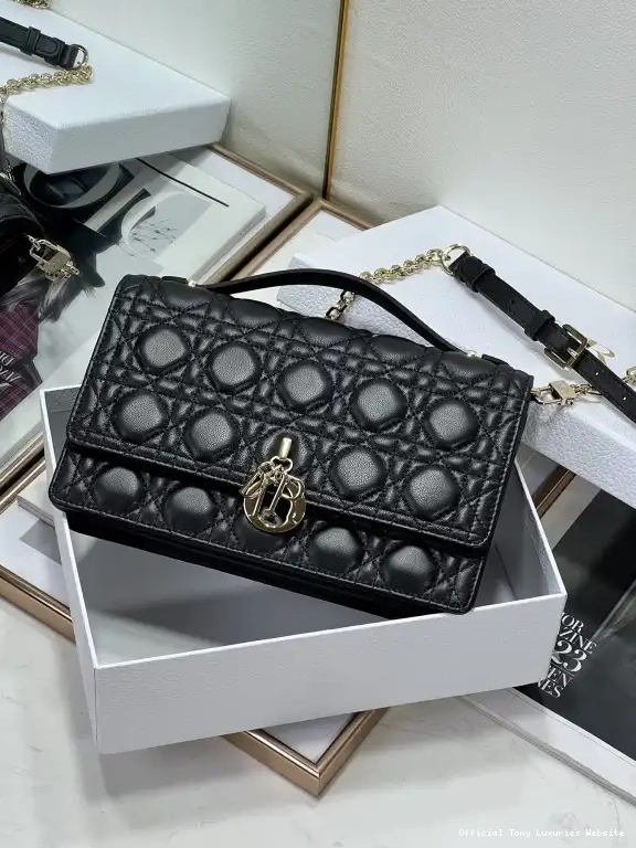 Tony Luxuries LADY diro-24*14*7.5CM 0505